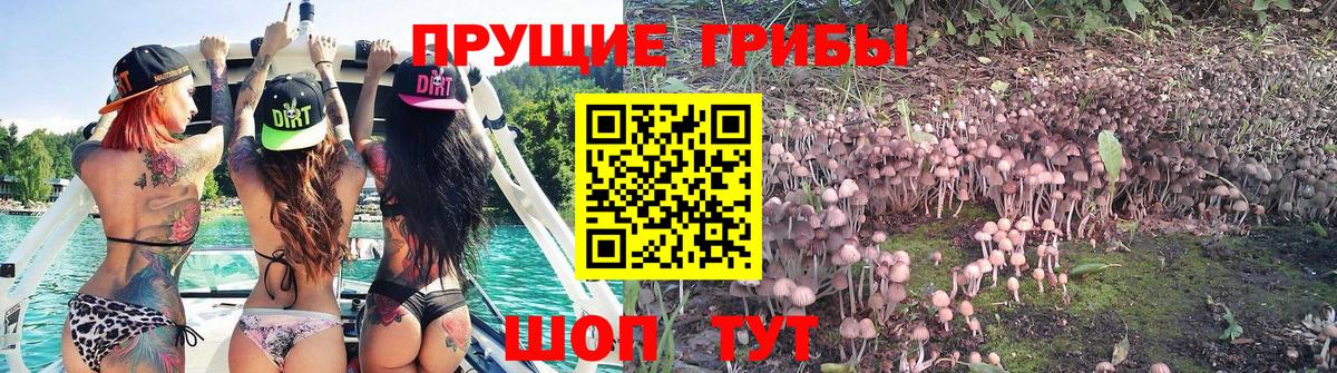 Псилоцибиновые грибы мухоморы  Вход с VPN  Нефтекумск 