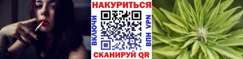 Бошки марихуана Amnesia Нефтекумск
